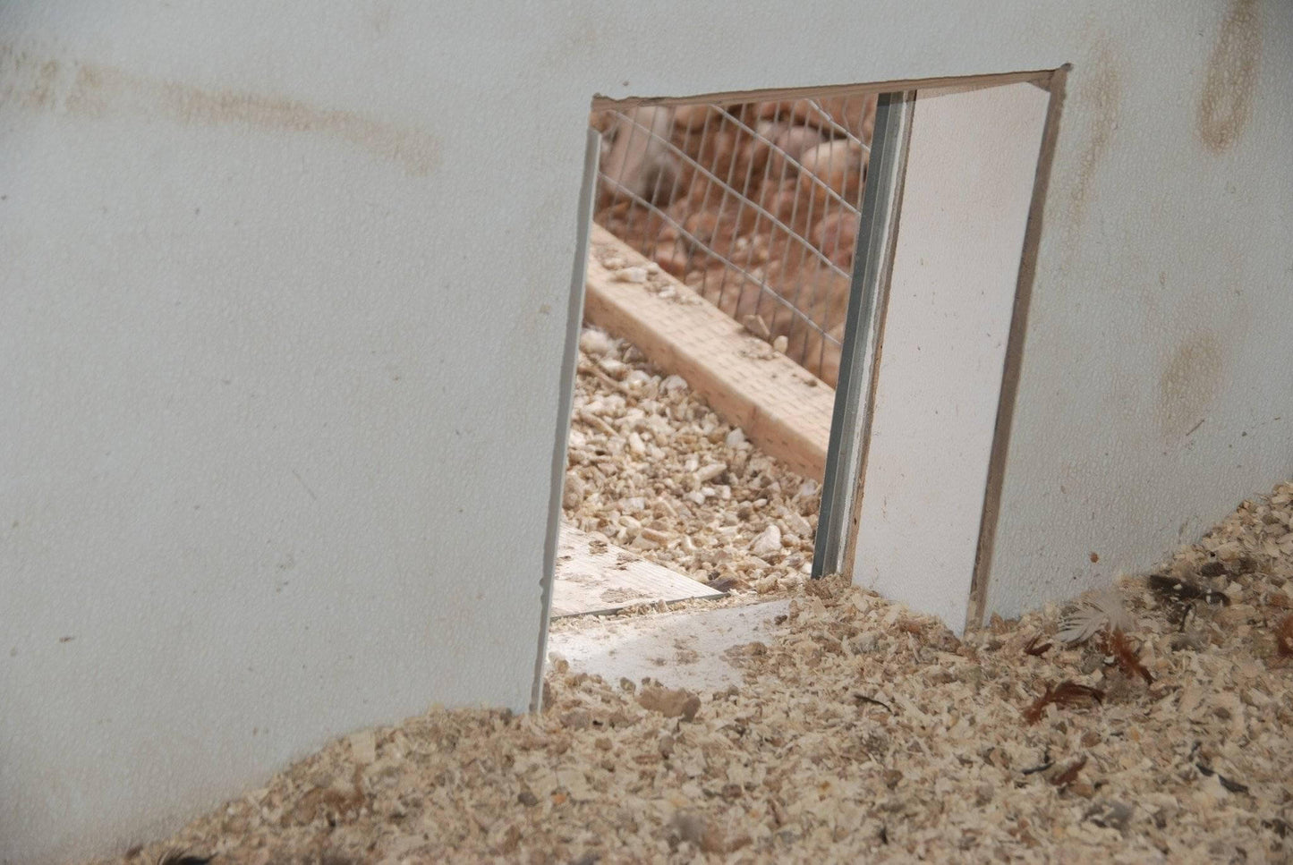 Automatic Chicken Coop Door - ADOR1-automatic chicken coop door cutout for installation