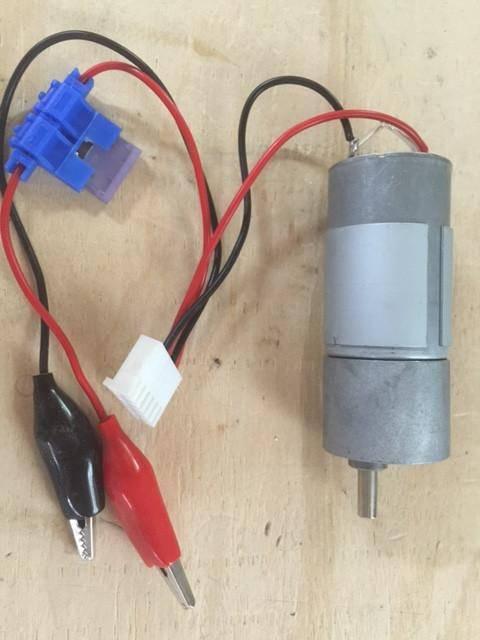 Replacement Motor for ADOR2 Turkey Door-