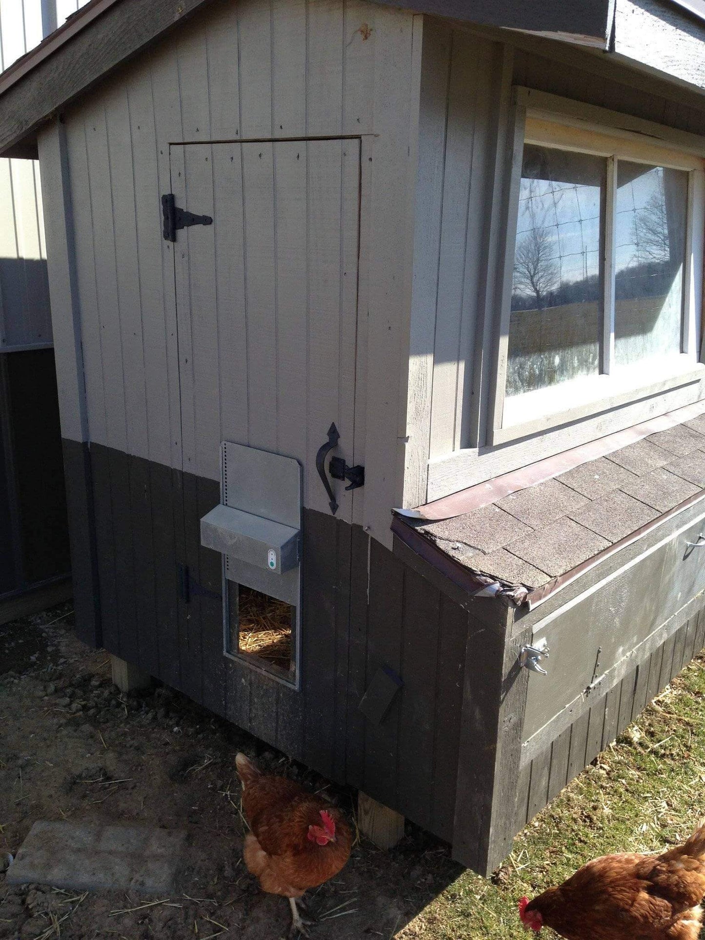 Automatic Chicken Coop Door - ADOR1-automatic chicken coop door,automatic chicken coop door opener,Automatic Chicken Door,automatic chicken door opener,automatic coop,automatic coop door,chicken coop door,electronic chicken door opener,electronic door,solar,solar coop door,solar coop door opener,solar powered coop,tractor coop