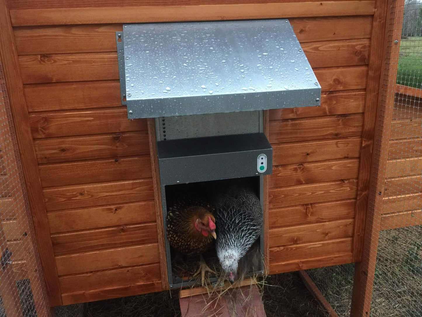 Automatic Chicken Coop Door - ADOR1-automatic chicken coop door with canopy