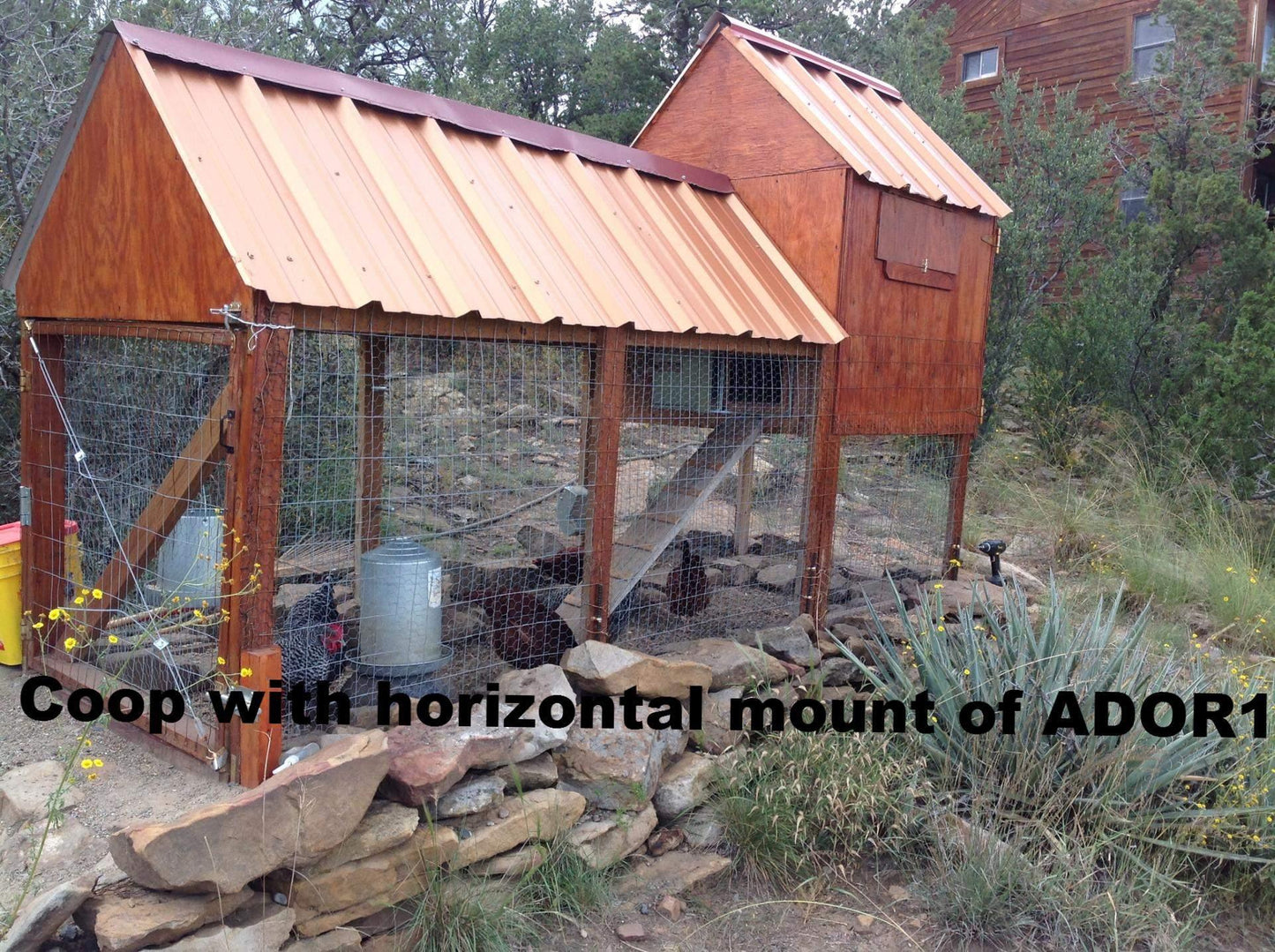 Automatic Chicken Coop Door - ADOR1-AdorStore-automatic chicken coop door,automatic chicken coop door opener,Automatic Chicken Door,automatic chicken door opener,automatic coop,automatic coop door,chicken coop door,electronic chicken door opener,electronic door,solar,solar coop door,solar coop door opener,solar powered coop,tractor coop