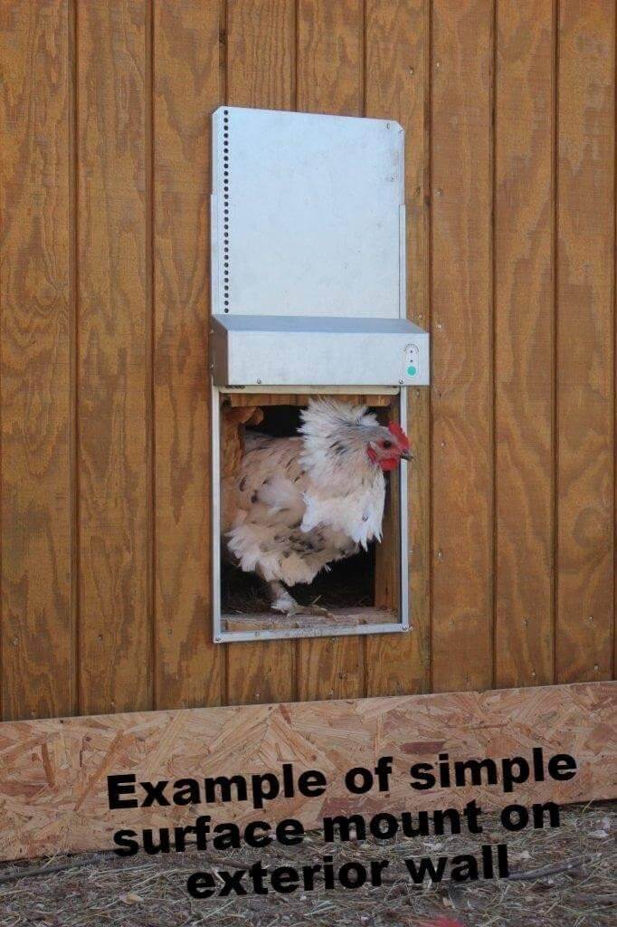 Automatic Chicken Coop Door - ADOR1-automatic chicken coop door door open with chicken in door