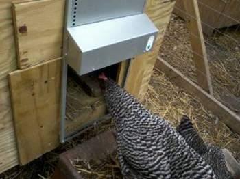 Automatic Chicken Coop Door - ADOR1-AdorStore-automatic chicken coop door,automatic chicken coop door opener,Automatic Chicken Door,automatic chicken door opener,automatic coop,automatic coop door,chicken coop door,electronic chicken door opener,electronic door,solar,solar coop door,solar coop door opener,solar powered coop,tractor coop