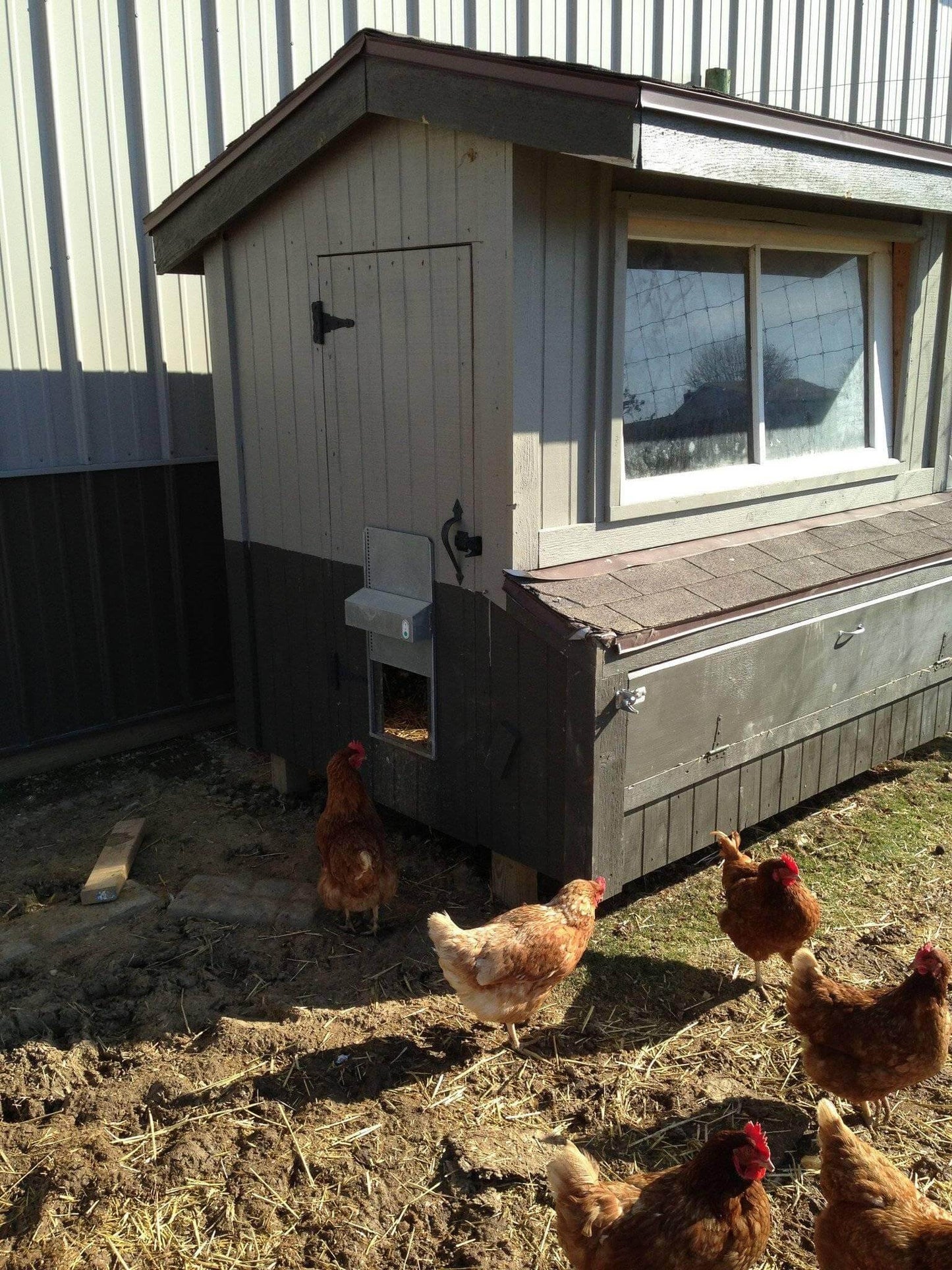 Automatic Chicken Coop Door - ADOR1-automatic chicken coop door,automatic chicken coop door opener,Automatic Chicken Door,automatic chicken door opener,automatic coop,automatic coop door,chicken coop door,electronic chicken door opener,electronic door,solar,solar coop door,solar coop door opener,solar powered coop,tractor coop